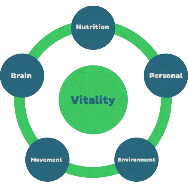 Vitality theme's company school