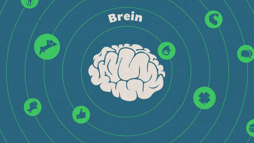 Online Energizer Brein