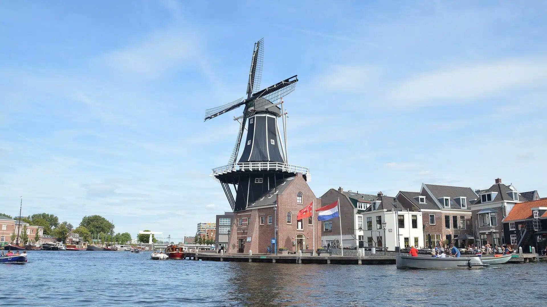 Tours in Haarlem