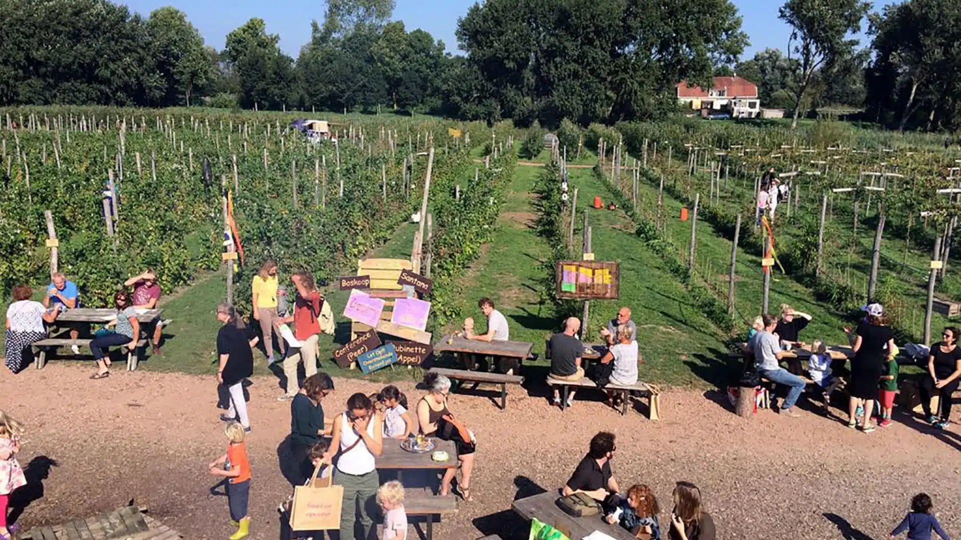 Stadslandbouw Rondleiding door de Tuinen van West